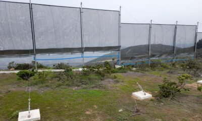 atrapaniebla